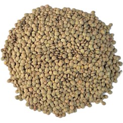 تصویر عدس ریز محلی یک کیلویی 