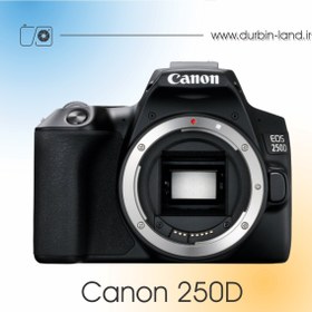 تصویر دوربین Canon 250D دست دوم 