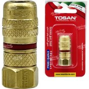 تصویر سری گریس پمپ برنجی اصلی برند توسن (TOSAN) 