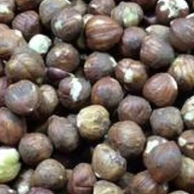 تصویر مغز فندق خام 500گرم 