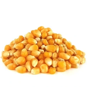 تصویر فروشگاه عطاری ملکی