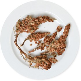 تصویر سماق خوشه ای 