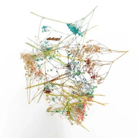 تصویر گل خشک هفت رنگ رزین گل-خشک-هفت-رنگ-رزین