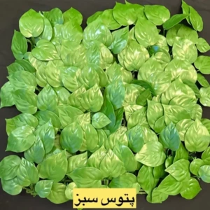 تصویر فروشگاه بام رنگ