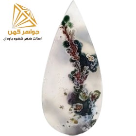 تصویر نگین شجر بهاری (کد۷۲) 