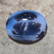 تصویر شجر قائن قواره دار زیبا خاص 