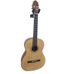 تصویر گیتار رودریگز 