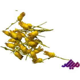 تصویر گل خشک تلخک زرد G121 