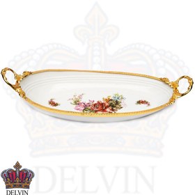 تصویر دیس ماهی 