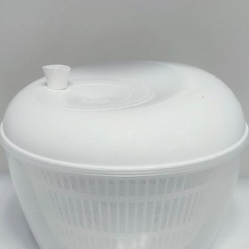 تصویر سبزی خشک کن همارا 