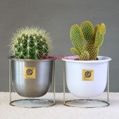 تصویر پک کاکتوس گلدان فلزی معلق – دوعدد 
