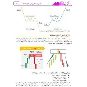 تصویر استادی در اسمارت مانی(پول هوشمند)-جلد 3-علی محمدی/باوین کتاب 