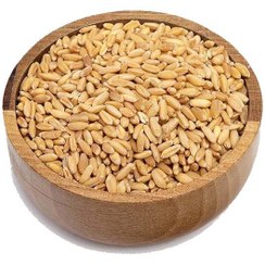 تصویر گندم مرغی 1کیلوگرم 