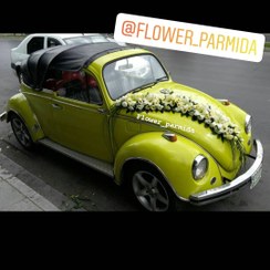 تصویر ماشین عروس کد 6 