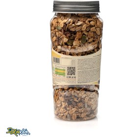 تصویر گرانولا روزانه انجیر و گردو 