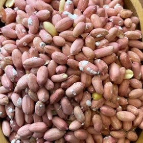 تصویر خرید و قیمت بادام زمینی 