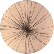 تصویر چراغ سقفی 36 وات مودی مدل گرد طرح قاصدک کد IR-MD6136R-P 