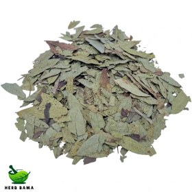 تصویر برگ سنا 