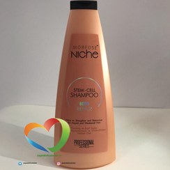 تصویر شامپو مورفوس مدل نیچ مو حجم 400 میل - مخصوص موی ضعیف و حساس Morfose 400 ml