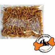 تصویر کرم خشک (میلورم) 