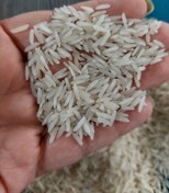 تصویر برنج طارم محلی شیروان ایلام 