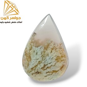 تصویر نگین شجر زمستانی (کد۸۰) 