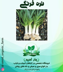 تصویر تره فرنگی 