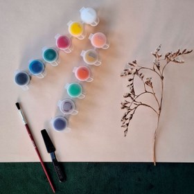 تصویر گواش 12 رنگ نیمه آریا 