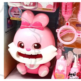 تصویر کیت دندان پزشکی خرگوش 