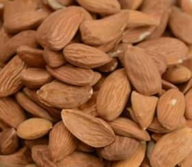 تصویر مغز بادام ایرانی سایز متوسط