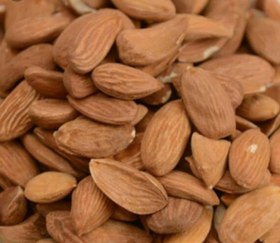 تصویر مغز بادام ایرانی سایز متوسط