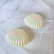 تصویر صدف خام صدفی برای خاطره‌سازی با دست‌های خودت