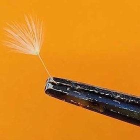 تصویر بسته قاصدک کوچک 