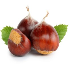 تصویر شاه بلوط یک کیلو 