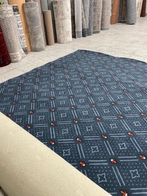 تصویر موکت انسیه طوسی 