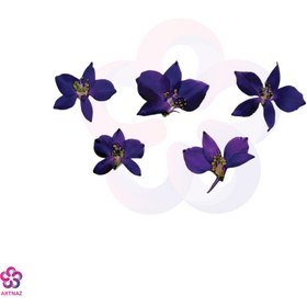 تصویر گل خشک زبان در قفا 