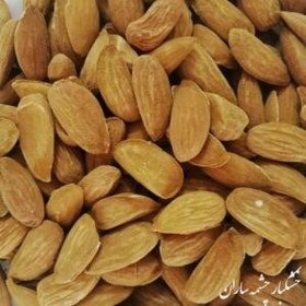 تصویر مغز بادام 