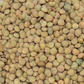 تصویر عدس ریز اعلا 900 گرمی 