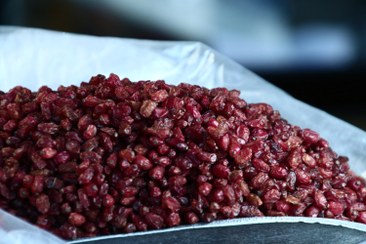 تصویر زرشک پفکی بدون روغن و پارافین Puff barberry without oil and paraffin