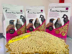 تصویر پلیت مرغ مینا کوکو پلاس - ده عدد 