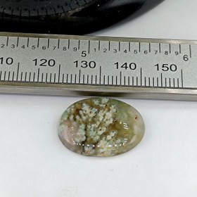 تصویر نگین شجر طبیعی کد ۱۲۰۸۵ 