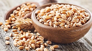 تصویر فروشگاه عطارخوب