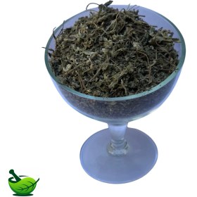 تصویر پونه کوهی 