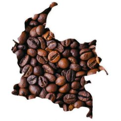 تصویر دانه قهوه عربیکا کلمبیا 