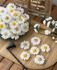 تصویر شمع بابونه 