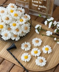 تصویر شمع بابونه 