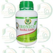 تصویر باسیلوس سوبتیلیس آیرونیکا 500gr 