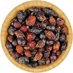 تصویر میوه نسترن وحشی «رز هیپ» 