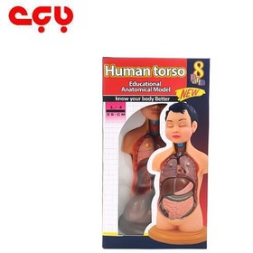 تصویر مولاژ 1/4 عروسکی 