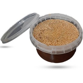 تصویر حلوا کنجدی 